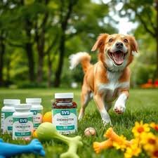 Authority Healthy Weight Dog Food