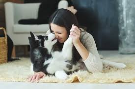 How to Keep Your Dog Entertained
