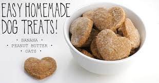 Top 5 Vet-Approved No-Bake Homemade Dog Treats Recipes